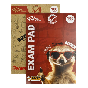 PNA Exam Pad Punched A4 100 Page