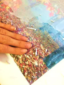 canvas