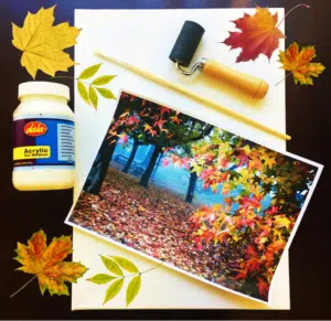 canvas