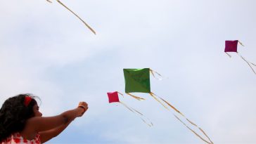 Kite Flying Day 2021
