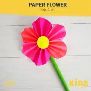 Paper Flowers