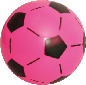 TREFOIL EDUCATIONAL BALL PVC COATED ASSORTED