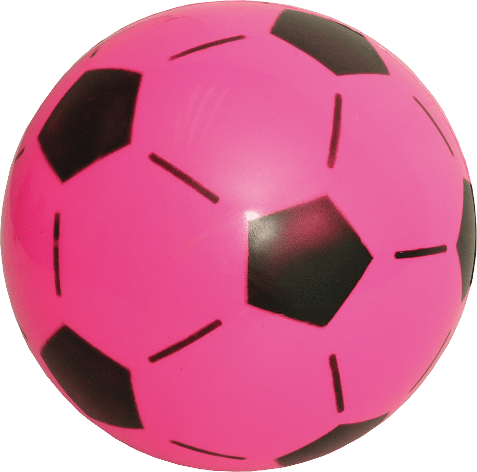 TREFOIL EDUCATIONAL BALL PVC COATED ASSORTED