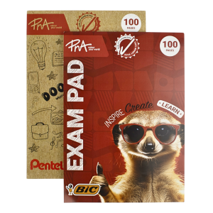 PNA Exam Pad Punched A4 100 Page