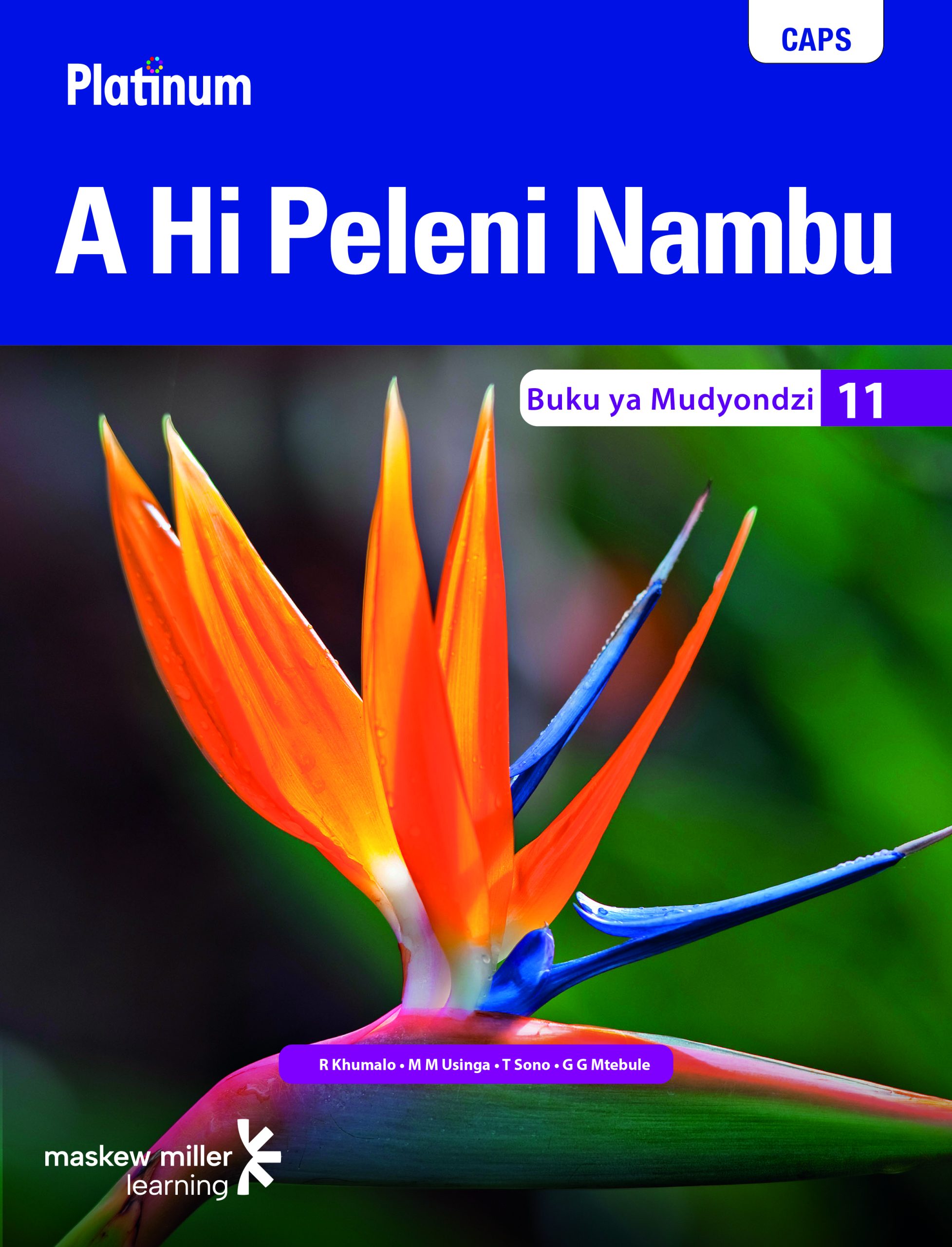 PLATINUM A HI PELENI NAMBU GRADE 11 LEARNER'S BOOK