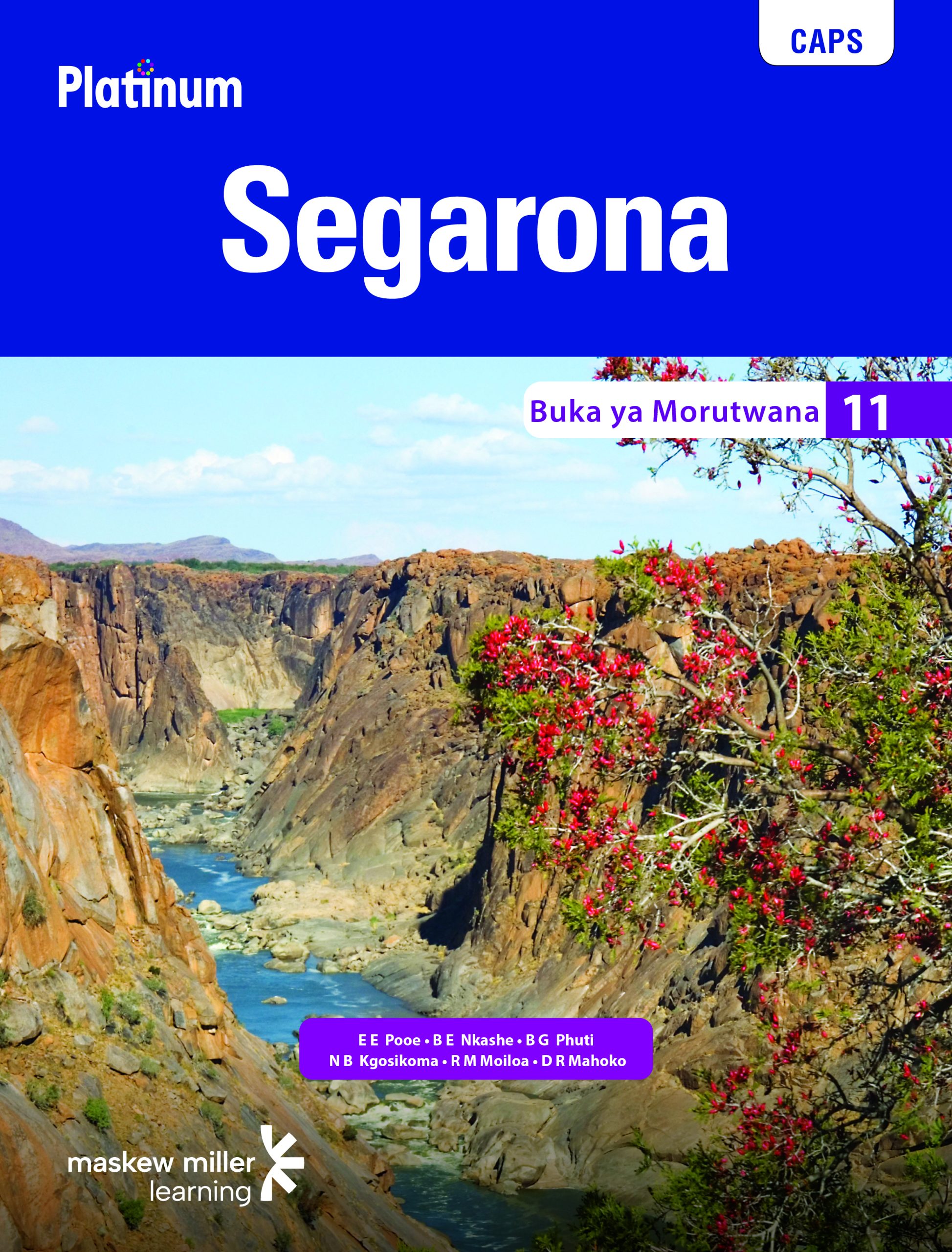 Platinum Segarona Grade 11 Learner'S Book