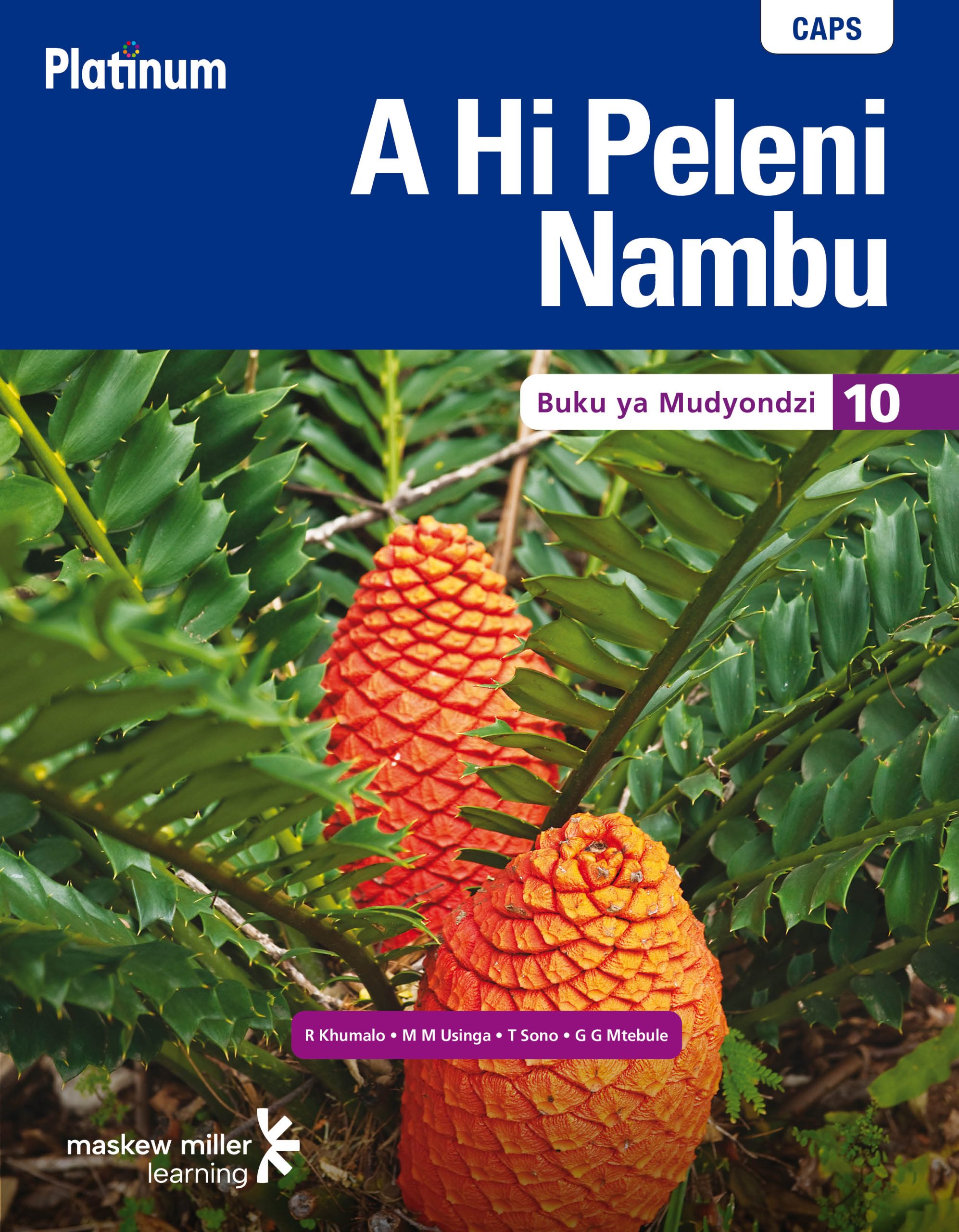 PLATINUM A HI PELENI NAMBU GIREDI 10 LEARNER'S BOOK