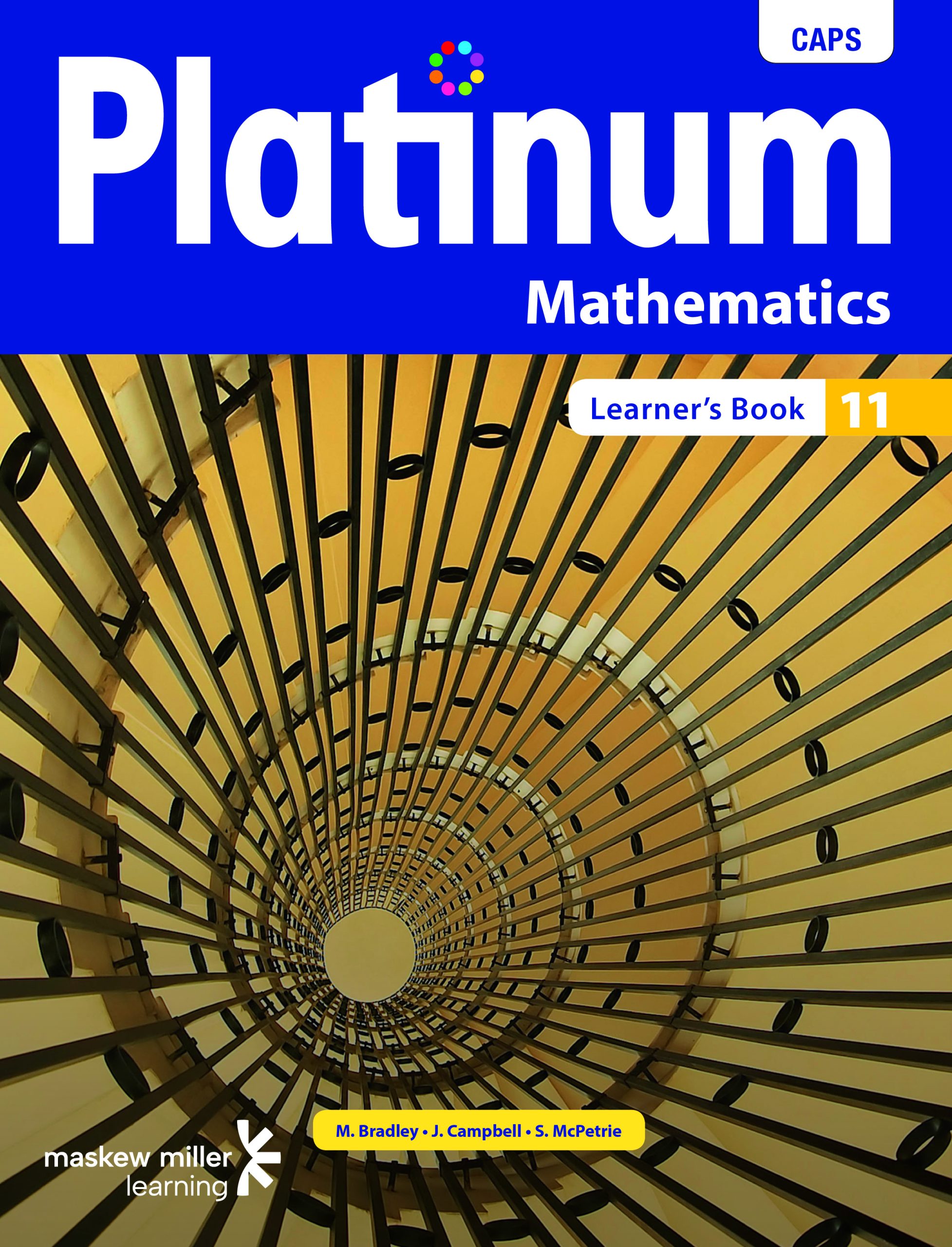 PLATINUM MATHEMATICS GRADE 11 LEARNER'S BOOK