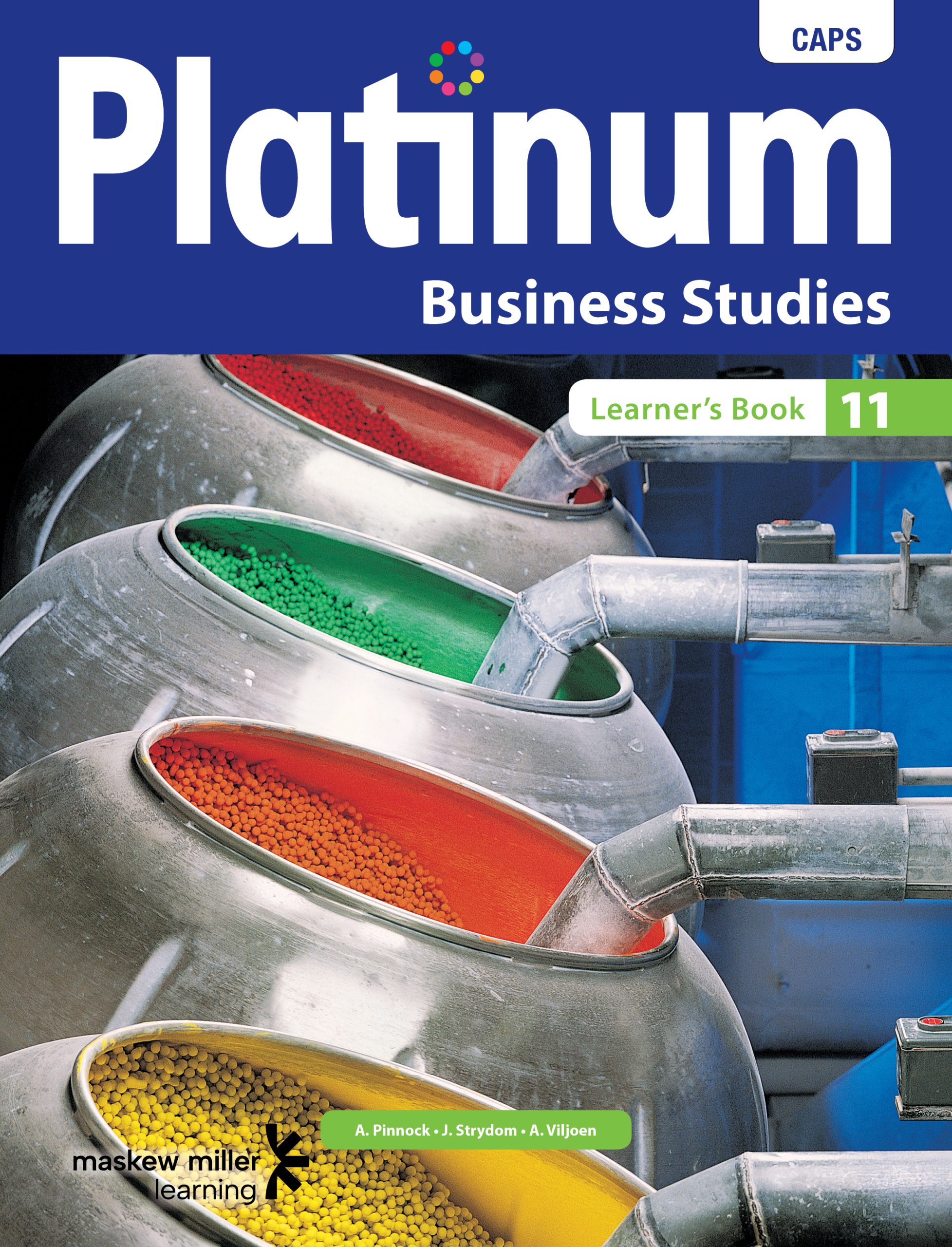 Platinum Business Studies Grade 11 Learner'S Book