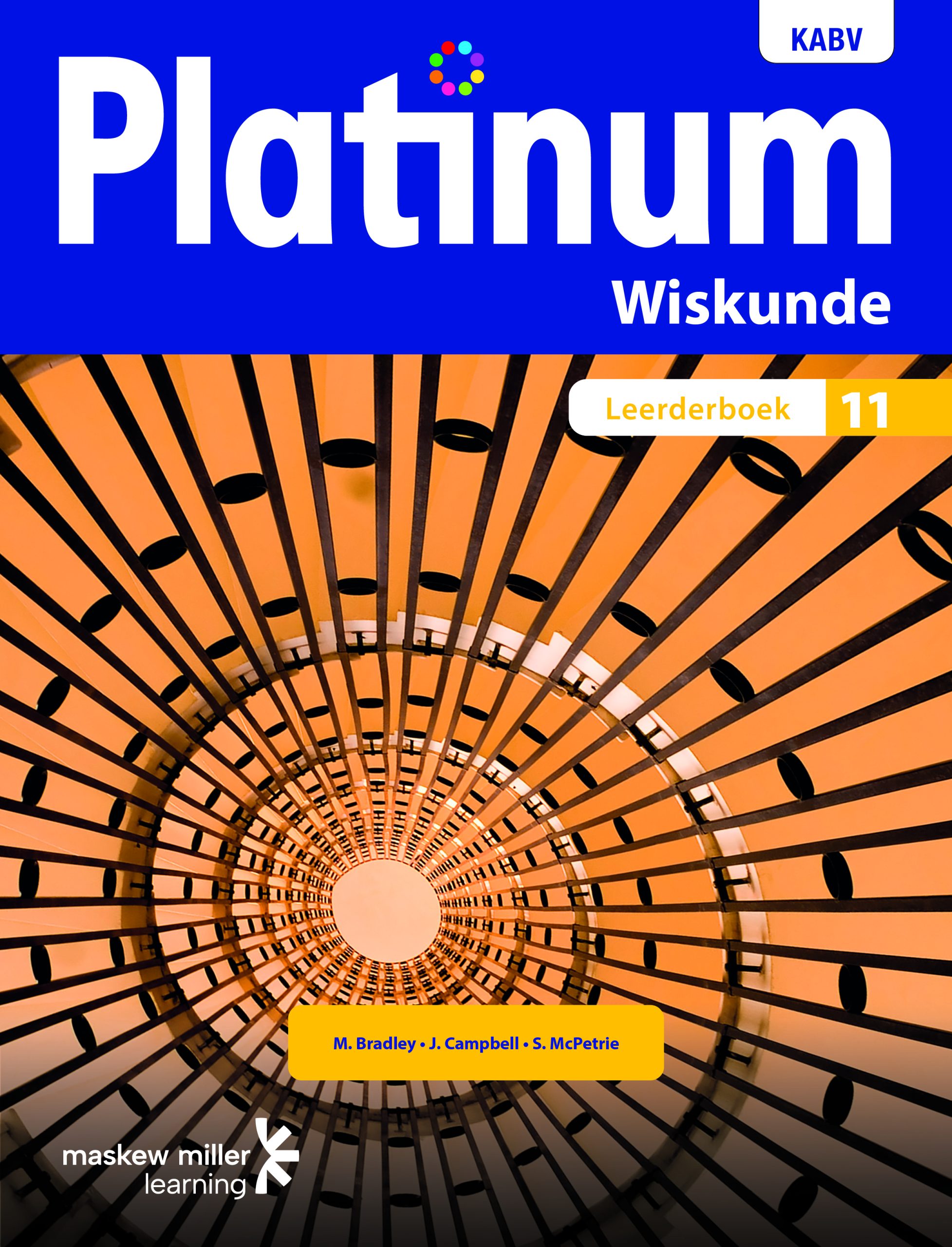 Platinum Wiskunde Graad 11 Leerderboek