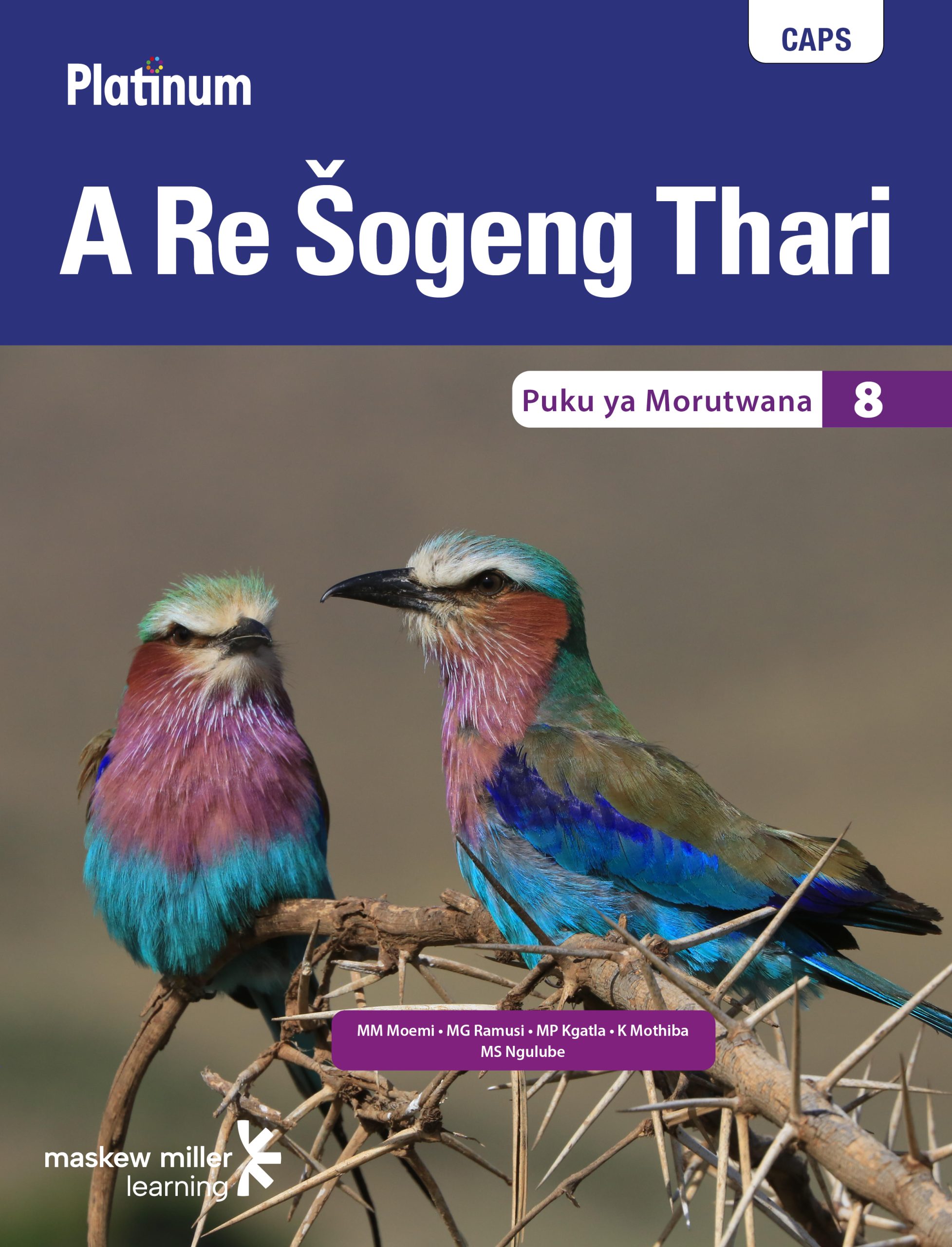 Platinum A Re Sogeng Thari Grade 8 Learner's Book