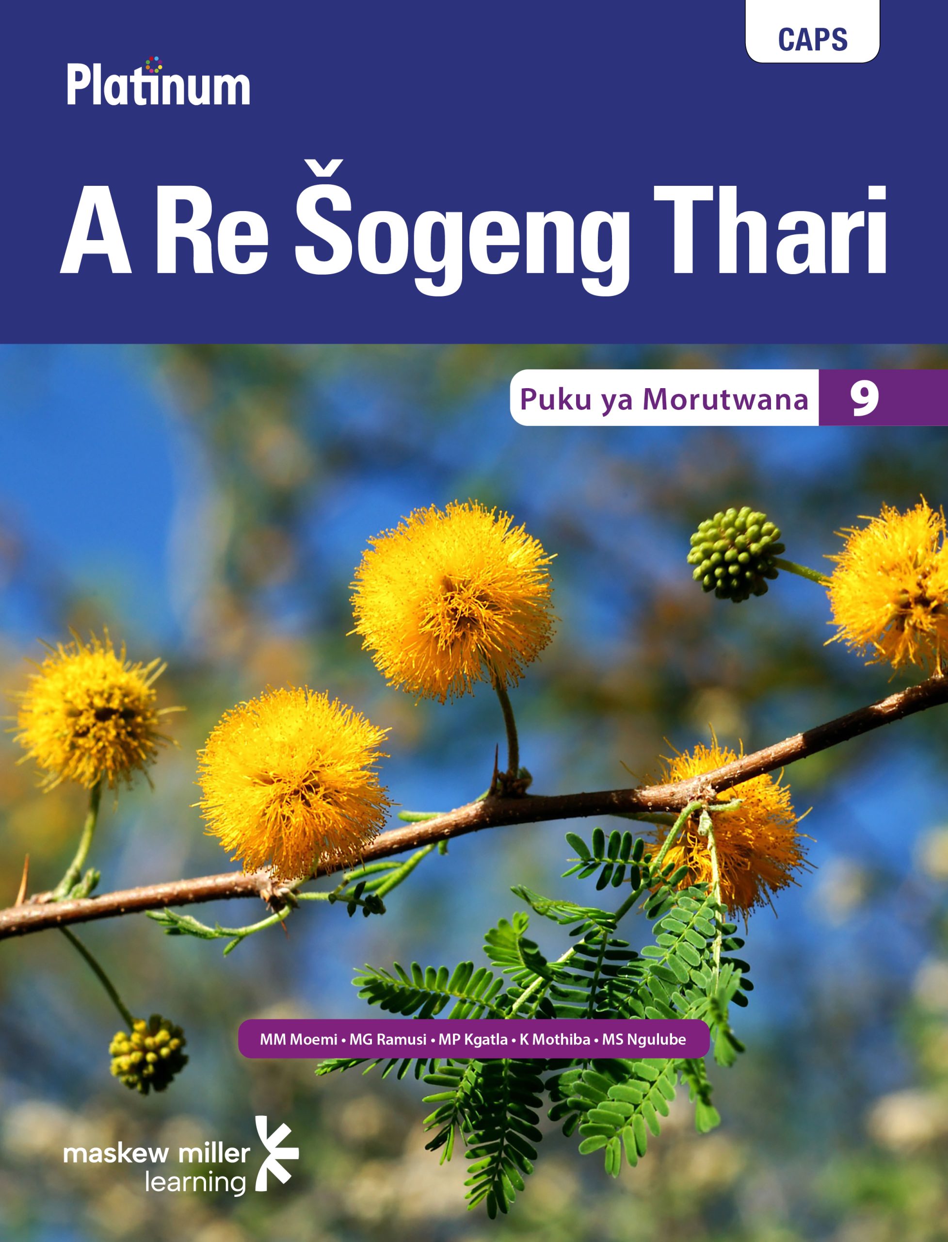 Platinum A Re Sogeng Thari Grade 9 Learner's Book