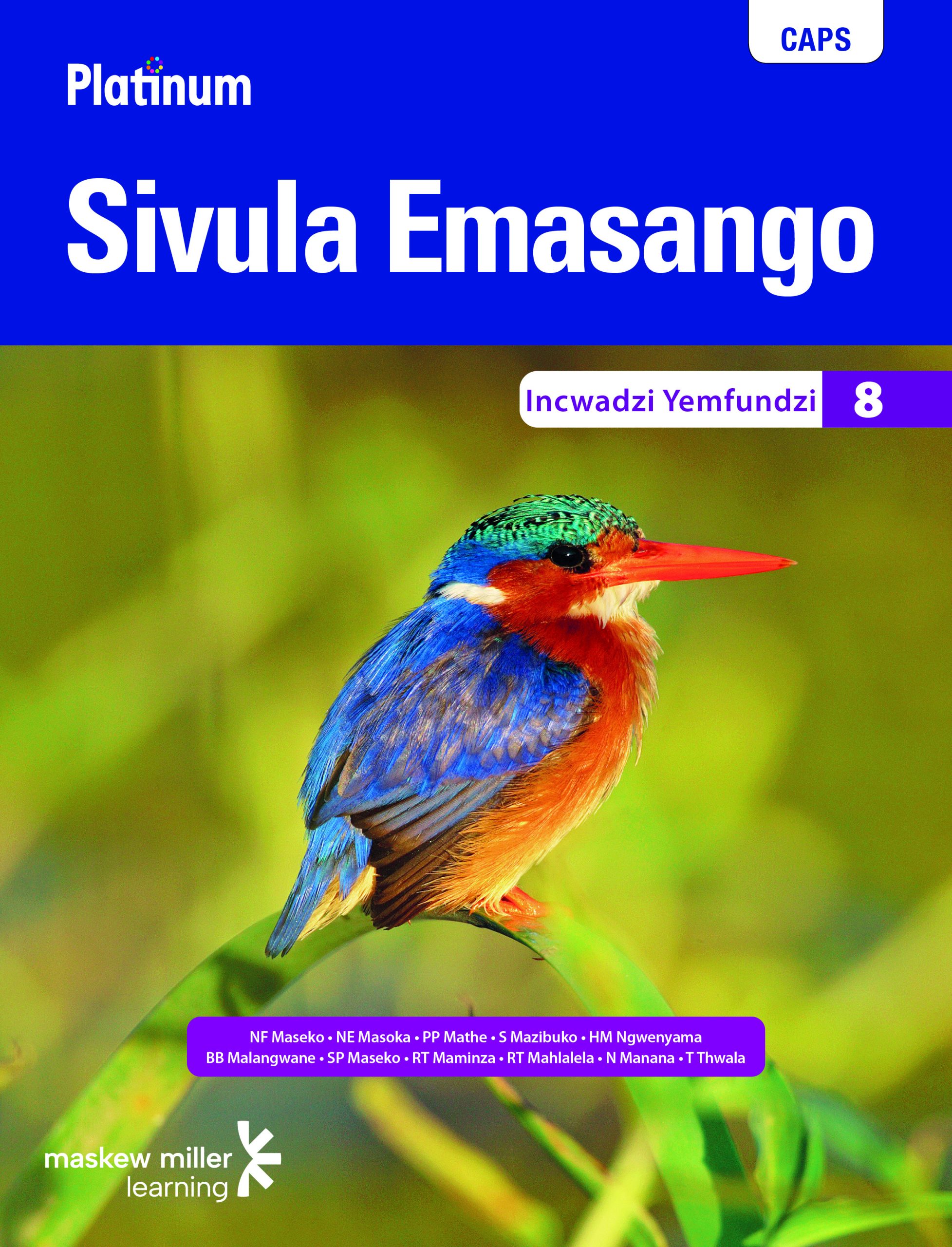 Platinum Sivula Emasango Grade 8 Learner'S Book