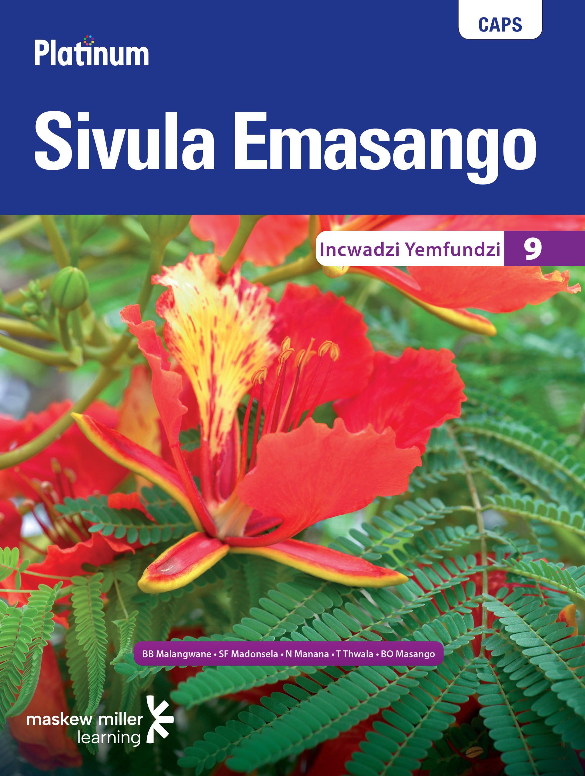 Platinum Sivula Emasango Grade 9 Learner'S Book