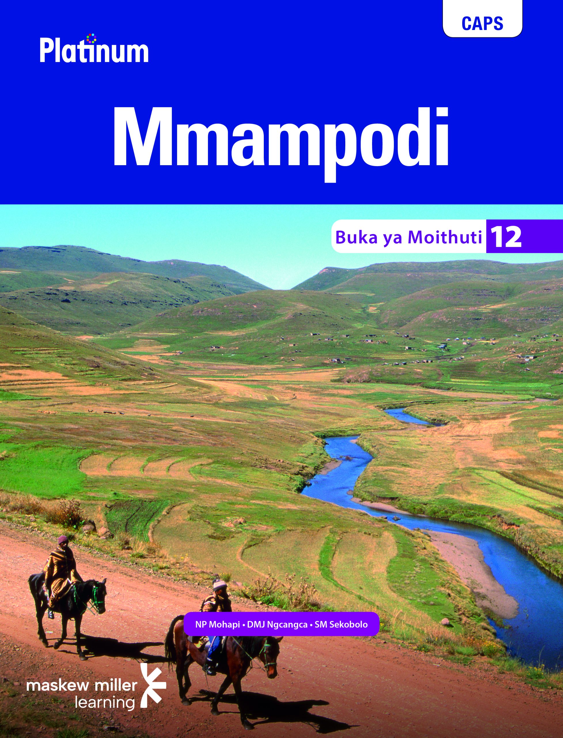 PLATINUM MMAMPODI GRADE 12 LEARNER'S BOOK